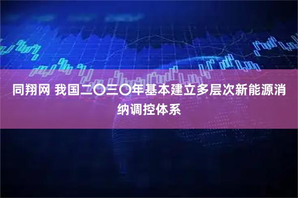 同翔网 我国二〇三〇年基本建立多层次新能源消纳调控体系