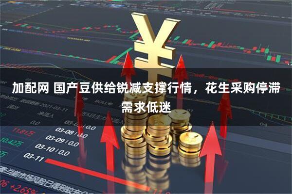 加配网 国产豆供给锐减支撑行情，花生采购停滞需求低迷