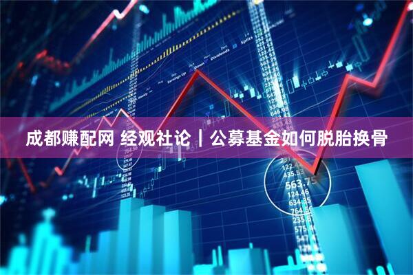 成都赚配网 经观社论｜公募基金如何脱胎换骨