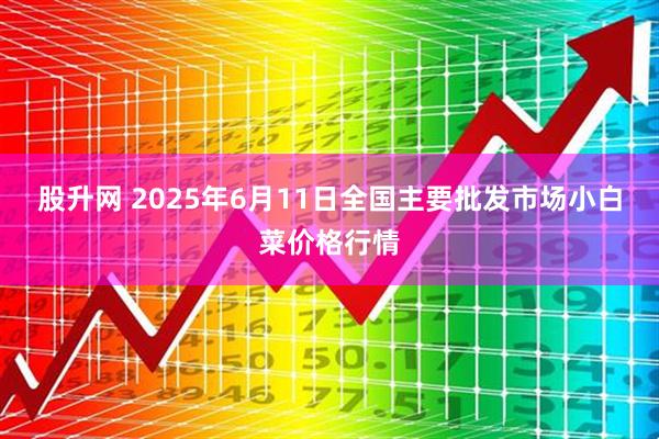 股升网 2025年6月11日全国主要批发市场小白菜价格行情
