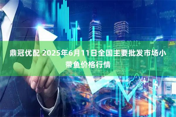 鼎冠优配 2025年6月11日全国主要批发市场小带鱼价格行情