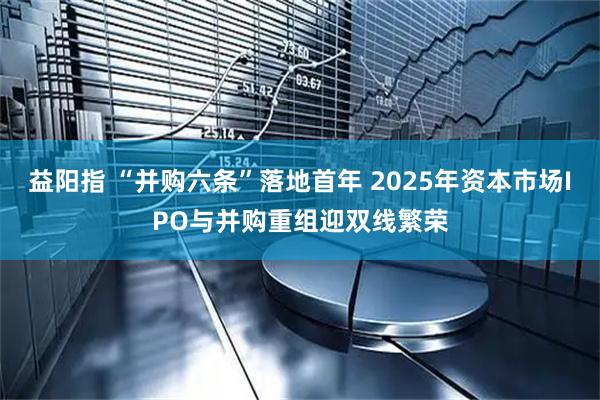 益阳指 “并购六条”落地首年 2025年资本市场IPO与并购重组迎双线繁荣
